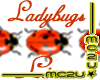 Ladybugs line