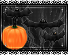 [xx]Pumpkin Bat Planter