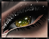 [AW]Eyes: Stardust Maize