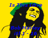 Is This Love - Bob