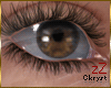 cK Eyes Ckryst Brown