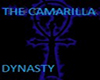 carmilla banner