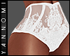 [ the lace ] panties v.1