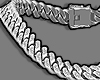 Silver Chain