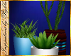 I~Med Desk Plants