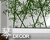 琴Bamboo Plant Deco