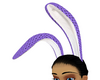 purple/black bunny ears