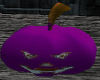 ~VP~ Pumpkin (Purple)