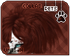 [Pets]Makybe |hairadd v2