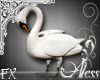 (Aless) Swans FX