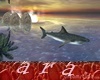 Animated Shark tiburon