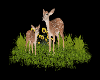meadow with fawn