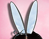 Rabit ear blu