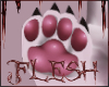 𝕱 l Hurt Paws