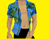 ^[camisa/hawaiana]^