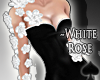 Cat~ Arm White Roses
