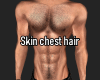 Muscular chest hair 2