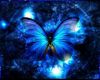 Blue Butterfly Room