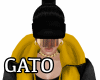 Yellow and black coat