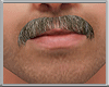 Moustache Grey V1
