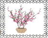 pink flower