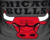 Chicago Bull Polo