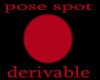 Derivable Pose Spot