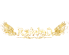 RawaD Name