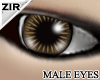 {Zir}Smart brown eyes10