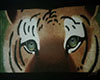 Mirada de tigre
