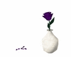 purple rose & vase