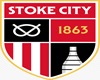 Stoke City flag
