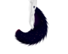 ~IJ NOLLY Tail v.2