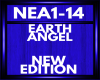 new edition NEA1-14