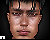 ICA - Angelo HD MH
