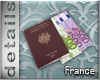 [MGB] D! Passport France