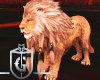 Draco Lion