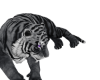 ☢ 4ppl Tiger Grey