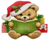 Christmas Bear and Book