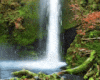CRT~Rainforest Waterfall