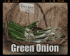 *Green Onion