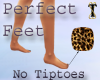 ![T] Perfect Feet 9