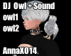 DJ Pet Owl + Sound