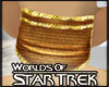 WST -Ferengi Headdress 2