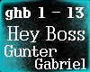 Gunther G Hey Bos.