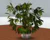 [JS] Potted Plant