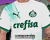 Camiseta Palmeiras | v2