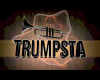 Trumpsta (Djuro Remix)