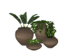 Deco Pots and Plants