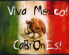 iiViva Mexico Cabrones i